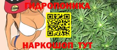 гидра Партизанск