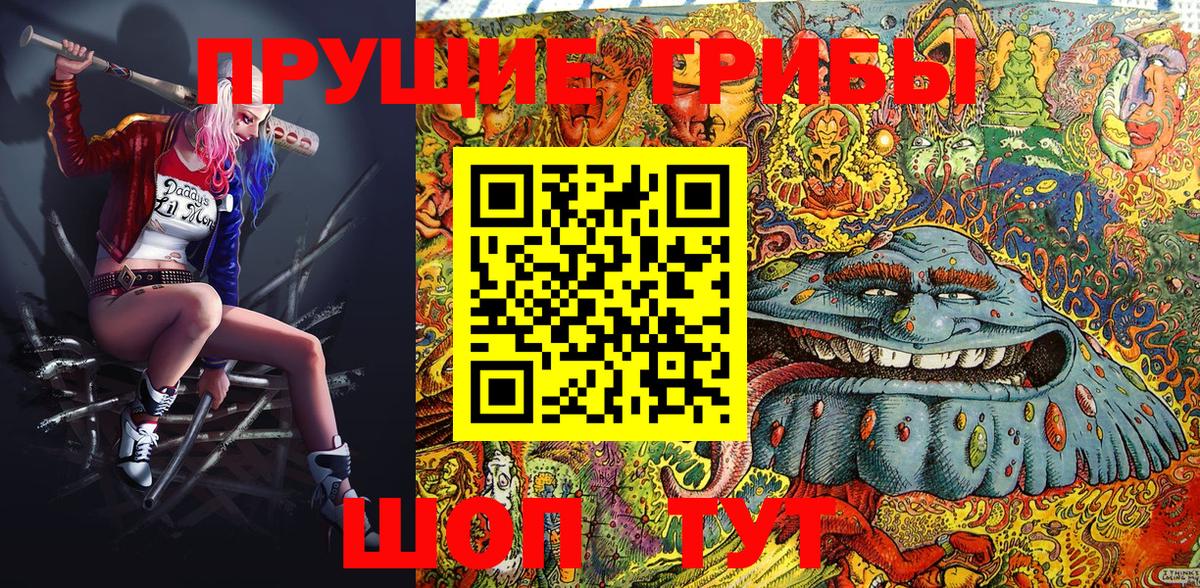 Псилоцибиновые грибы Cubensis Рыбинск