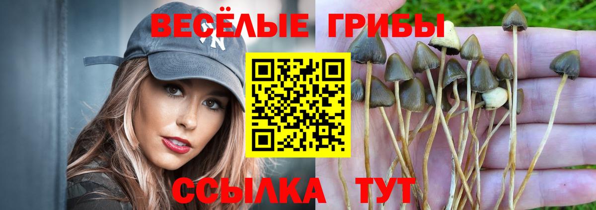 Рыбинск  Псилоцибиновые грибы Cubensis  Вход с VPN 